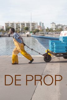 Prop-RRSS6-n